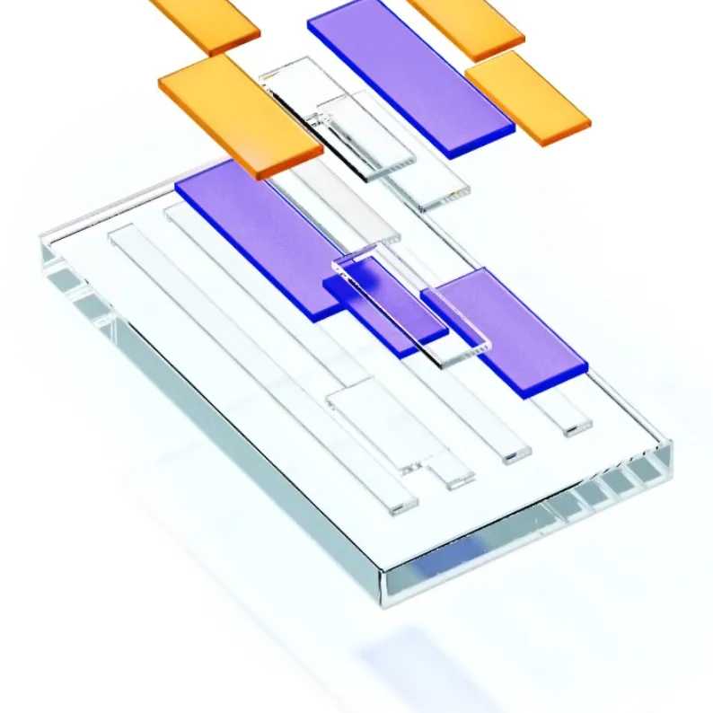 Exploring the Components of Eperoto